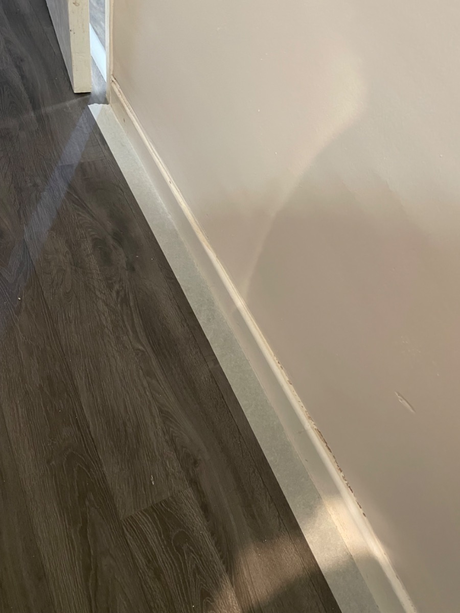 Painter and Decorator: Image 3
